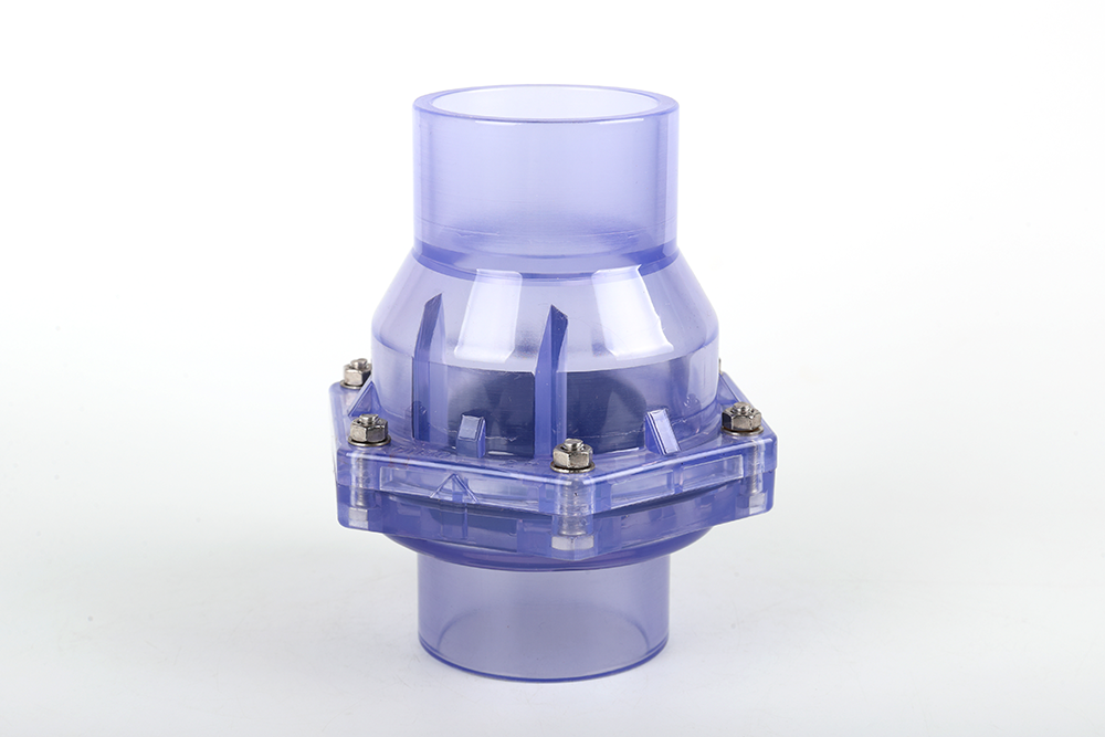 中原镇透明翻板式止回阀